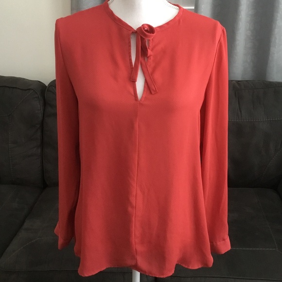 Semi Sheer - Picture 1 of 6